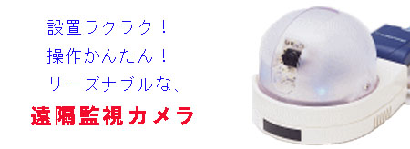 ���u�Ď��J����,�h��,�Z�L�����e�B�[