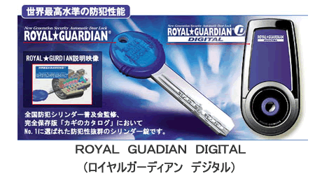 ���C�����K�[�f�B�A��,�⏕��,��,�J�M